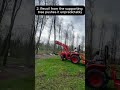 Dumb Treefelling