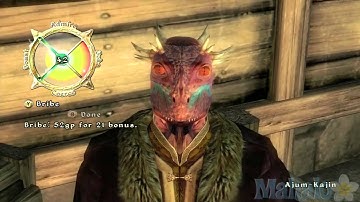 Elder Scrolls 4 Oblivion - Fighter
