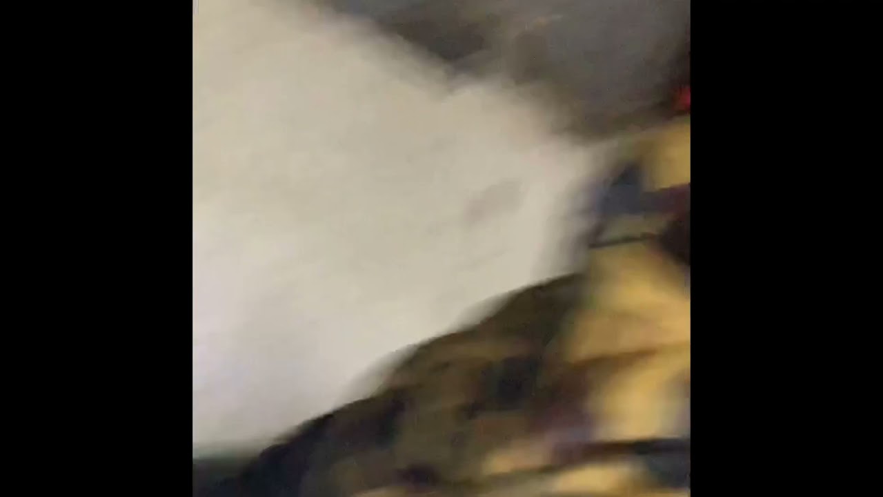 Chedda Gang Ft Jackboi Coop Ft Luh Rj