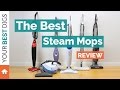 Best Steam Mop Review