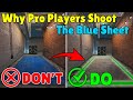 The Reason Why Pro Players Shoot Blue Sheets On Oregon Basement! - Rainbow Six Siege Demon Veil