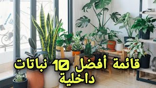 قائمة أفضل 10 نباتات داخلية