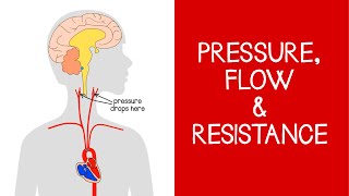 4.2 Cardiovascular: Pressure, Flow and Resistance