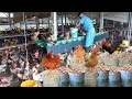 Full  harvesting eggs of chicken farms  farm and country life