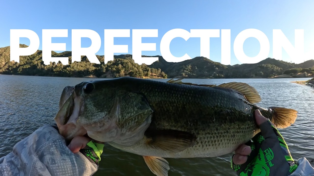 Looking for the Perfect Bass at Santa Margarita! – Bass Fishing Moments EP. 66