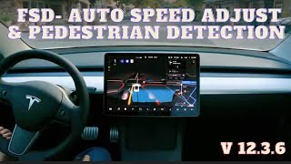 TESLA FSD- AUTO SPEED ADJUST & PEDESTRIAN DETECTION