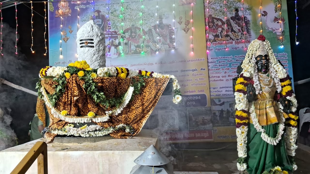 #mahashivratri #mahashivaratri #mahashivratri2026 #mahadev #shiv #shiva #omnamahshivaya #shivshakti