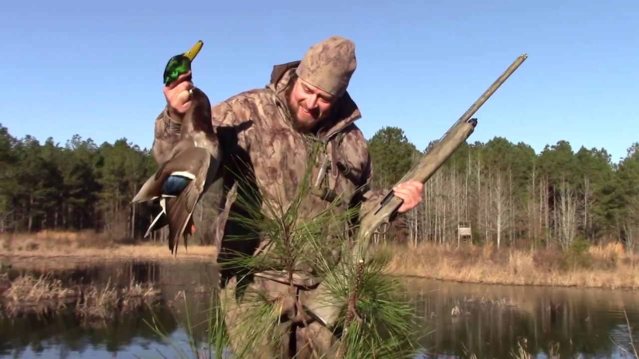 Dynamite Mallards in the Louisiana Bayou, Duck Hunting Swift Waters