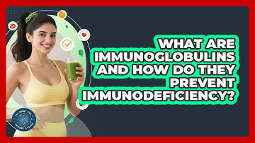 What Are Immunoglobulins And How Do They Prevent Immunodeficiency? - All About the Immune System