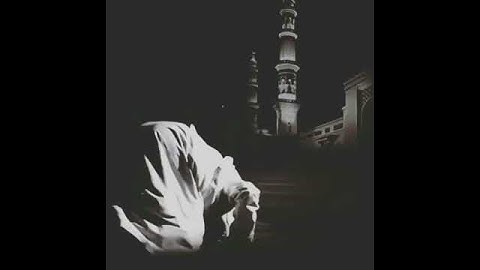 تلاوة تقشعر منها الأبدان.. ماشاء الله تبارك الله على الصوت♥️