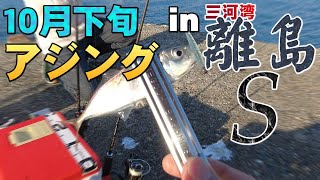 【10月下旬アジングin離島S】漁港の常夜灯依存からの脱却!愛知県三河湾で繰り広げられるデイゲームアジングの全貌とは?