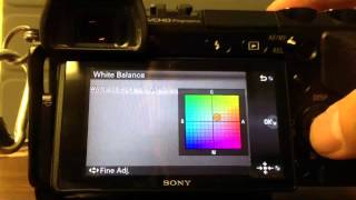 Sony Nex-7 White Balance Settings Override and Custom
