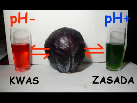 Wskaźnik pH z czerwonej kapusty/ pH indicator from red cabbage