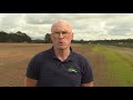 Arable Grass Margins - Controlling Sterile Brome