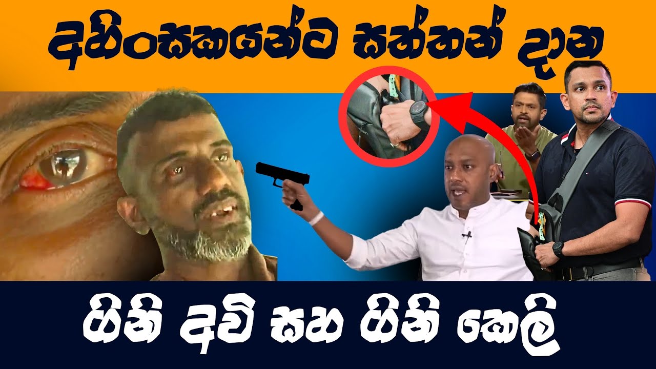 අවි ආයුද කියන්නෙ අපිට සාමාන්‍ය දේවල්  political meme