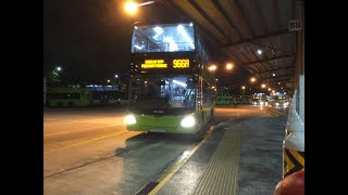 SMRT Bus Service 966A [SG6096Y]: Trellis Twrs → Parkway Parade