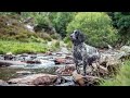 Rhiwargor Waterfall // Lake Vyrnwy