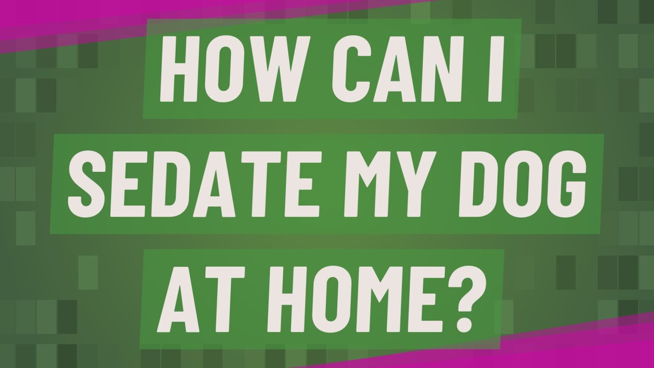How can I sedate my dog at home? YouTube