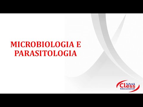 T1 E T2 - MANAUS - MICROBIOLOGIA - MAR.ABR.22 | 03/03