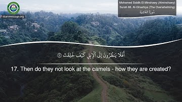 سورة 88. الغاشية (ترجمة باللغة الإنجليزية) | محمد صديق المنشاوي