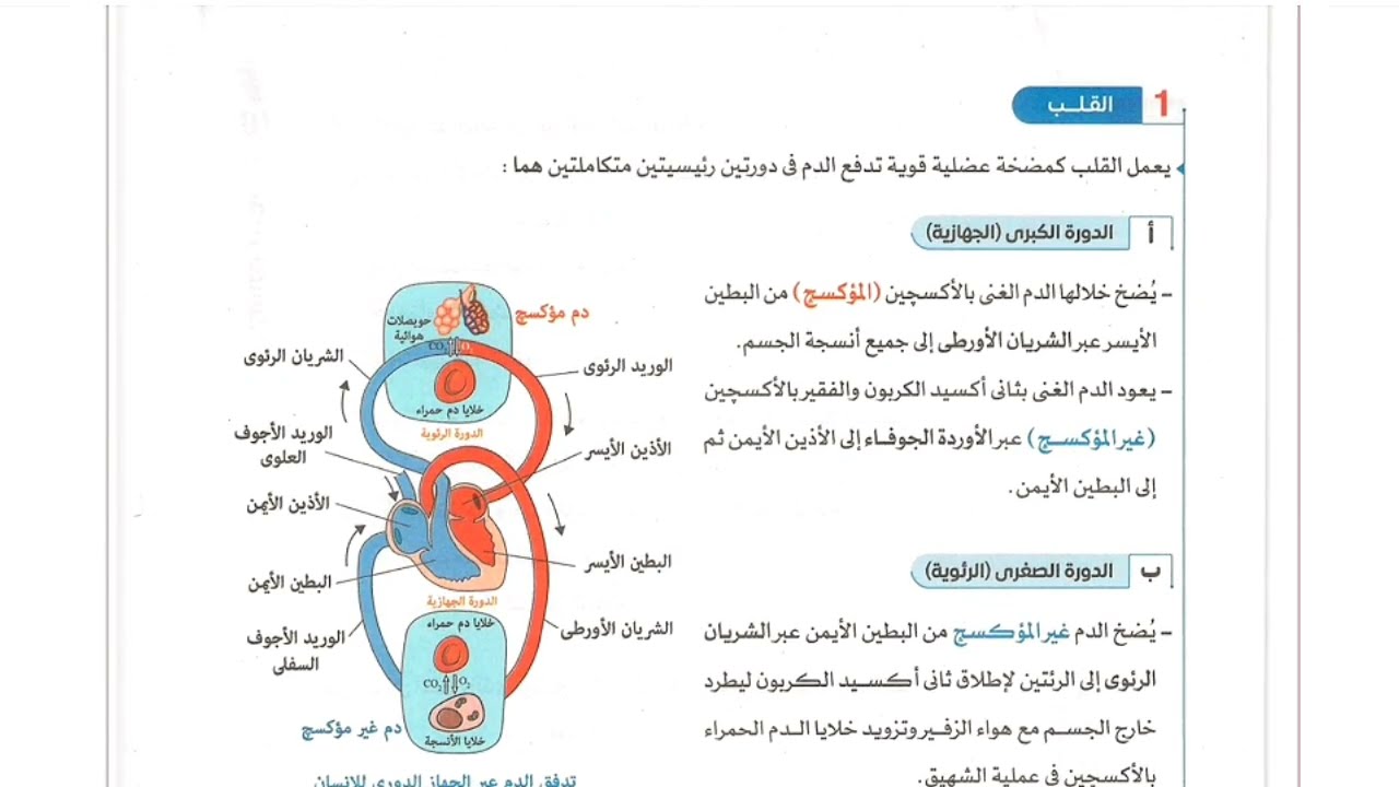علوم متكاملة اواى ثانوى الدرس الثانى الجزء ٢ النقل فى الإنسان ترم تانى منهج ٢٠٢٦