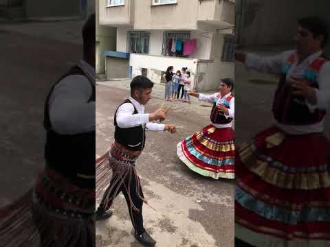 inebolu düğünü kemaneci