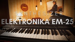 ELEKTRONIKA EM 25 - Vintage Analog String synthesizer USSR Soviet 106