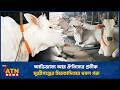 আভিজাত্য আর ঐতিহ্যের প্রতীক মুন্সীগঞ্জের মিরকাদিমের ধবল গরু | Mirkadim Cow | Finis Besto Khamari