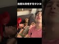 完璧に共鳴するワンコ