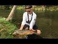 Fly Fishing Fly Fishing