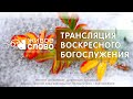 5 ноября  2023 в 11:00 (ЕКБ) / Воскресное #богослужение / Церковь «Живое Слово»