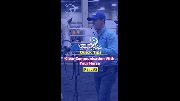Clear Communication With Your Horse! Part 2! | The Horse Guru-Michael Gascon