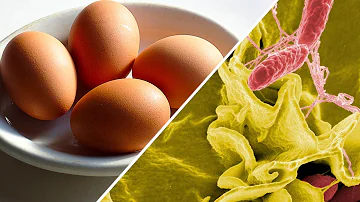 ¿Cómo se le quita a los huevos la salmonella?