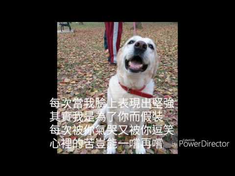 辜靖潔＆黃浩倫 - 依附