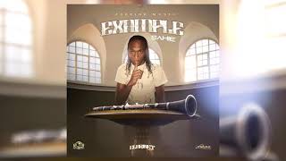EXAMPLE by Sahie (Offcial Visual Audio 2021) #jaz9inemusic #clarinetriddim #reggae #dancehall