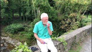 Wild Clematis or Old Man's Beard with John Feehan in September, Wildflowers of Offaly series