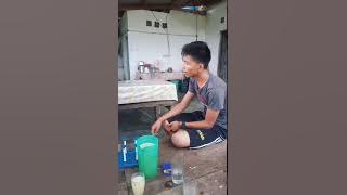 Download lagu Porhot pe hau dang tarjakkit au