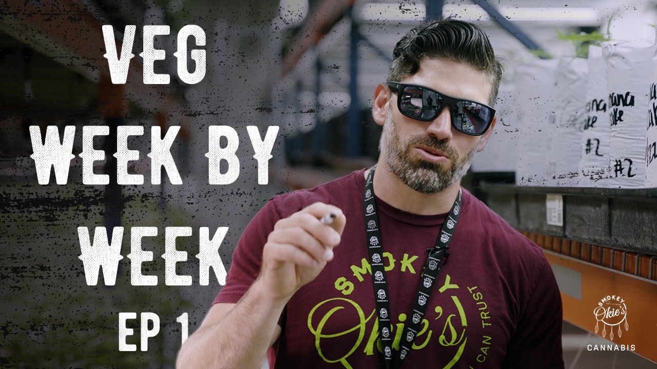 Vegging Clones in EZ-Cloner | Week by Week in Veg, Ep. 1