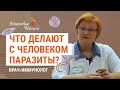 Влияние паразитов на организм человека (2020)