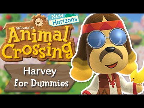 Harvey for Dummies