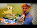 Blippi Pets Cute Animals in the Shelter! | Educational Videos for Kids