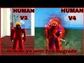 Getting human v4 with full upgrade  guild   showcase in blox fruits