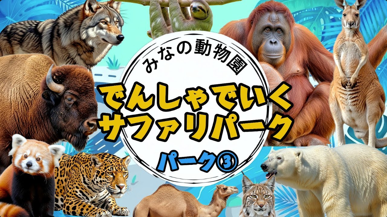 電車で行くサファリパーク | パーク③ オオカミ,カンガルー,ホッキョクグマ,ラクダ,ジャガー,アンテロープ,たちが登場！【動物教育】