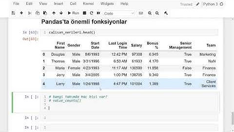 PYTHON İLE VERİ MADENCİLİĞİ 8- Pandas Kütüphanesi Eğitimi