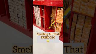 This Fireworks Store is INSANE #warehouse #fireworks #america #shorts #shortvideo #viral #250th