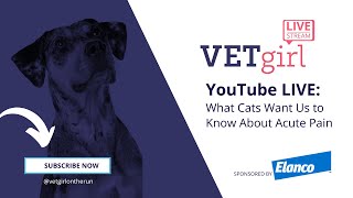 April 13, 2023: YouTube LIVE: What Cats Want Us to Know About Acute Pain