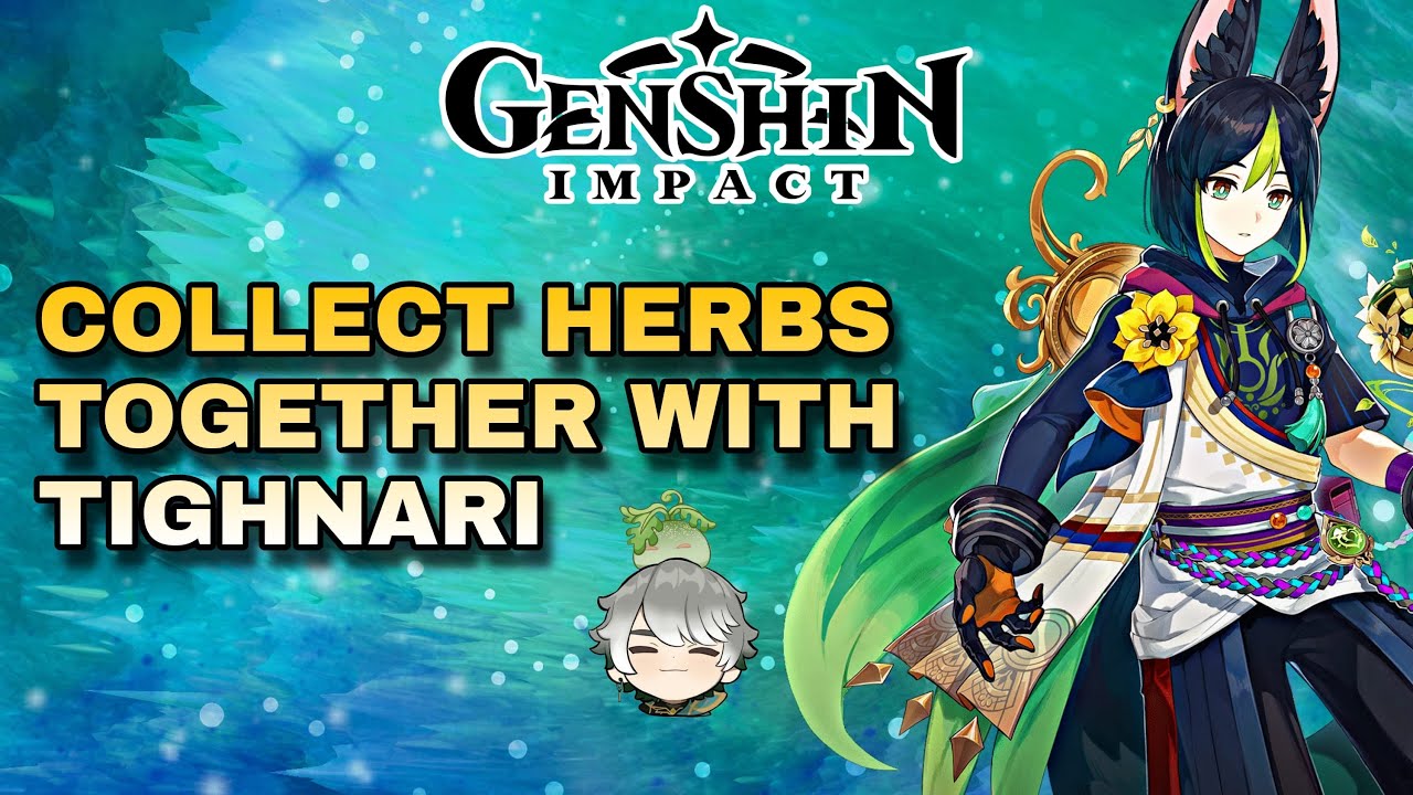 Collect Herbs Together With Tighnari Genshin Impact Sumeru Guide Part