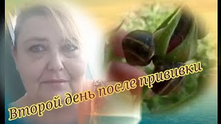 Влог. Прививка От Ковид Второй День. Как Я Себя Чувствую. Улитки Достали