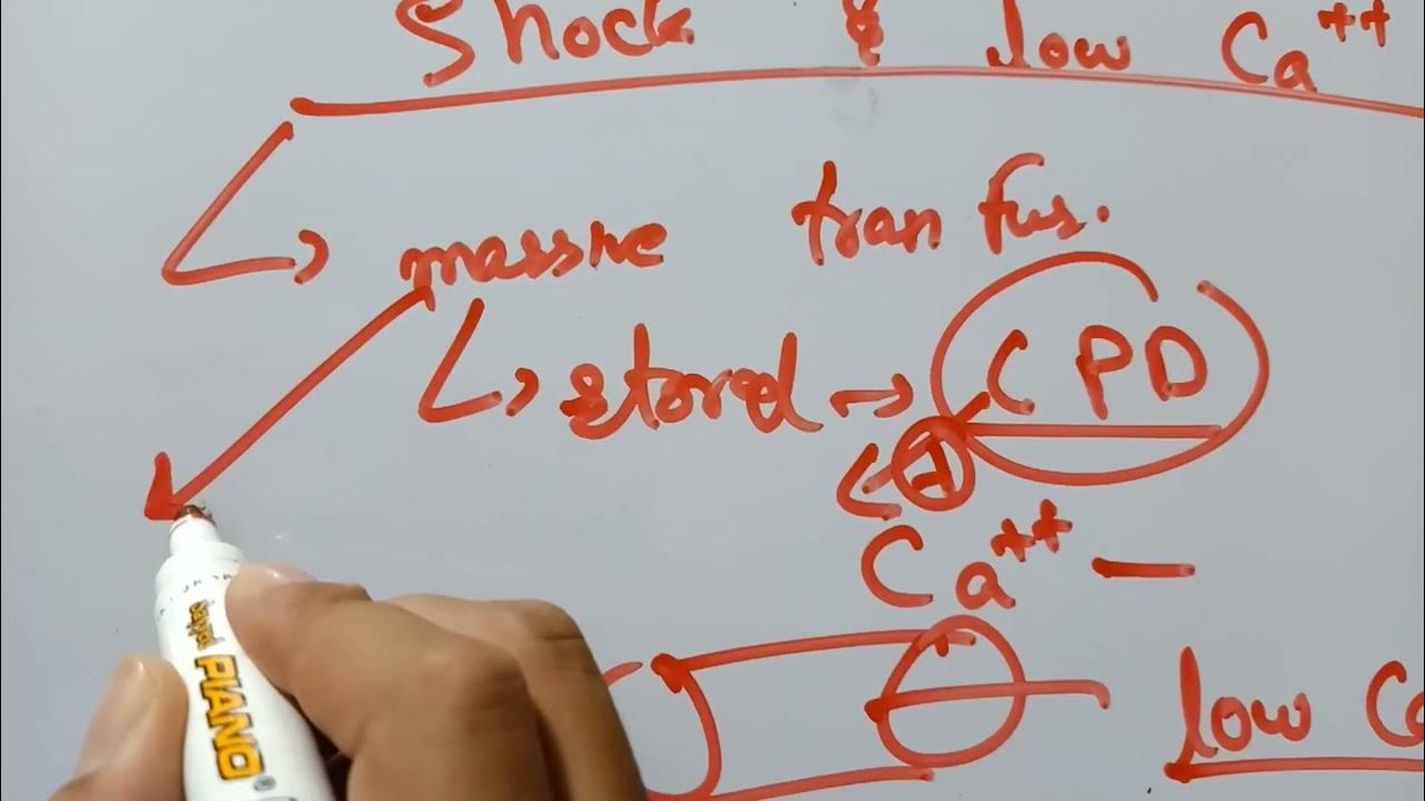 Why blood Transfusion Causes Low Calcium Levels YouTube