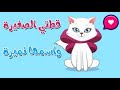 أنشودة الاطفال قطتي صغيرة واسمها نميرة       